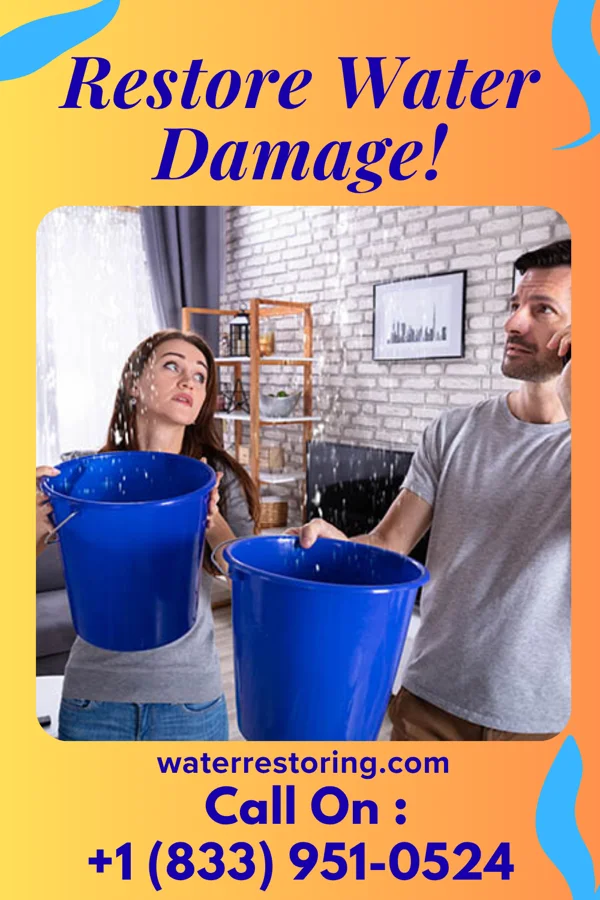water restoration Trusted Sewage Cleanup Co Lone Grove