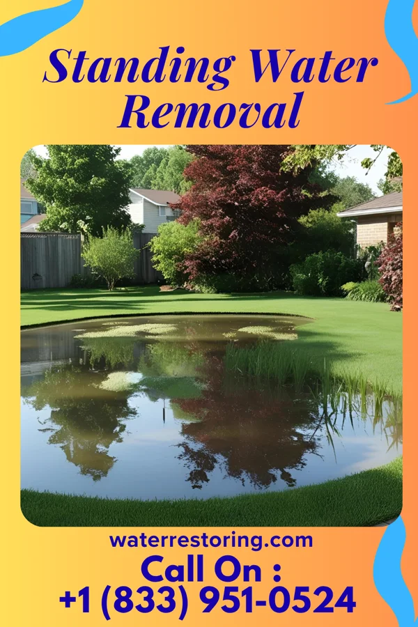 Standing Water Removal in Lone Grove, OK